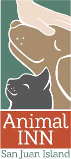 Animal Inn | Pet Lodging, Daycare & Wellness Center